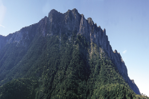 overview