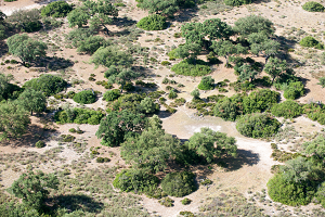 overview
