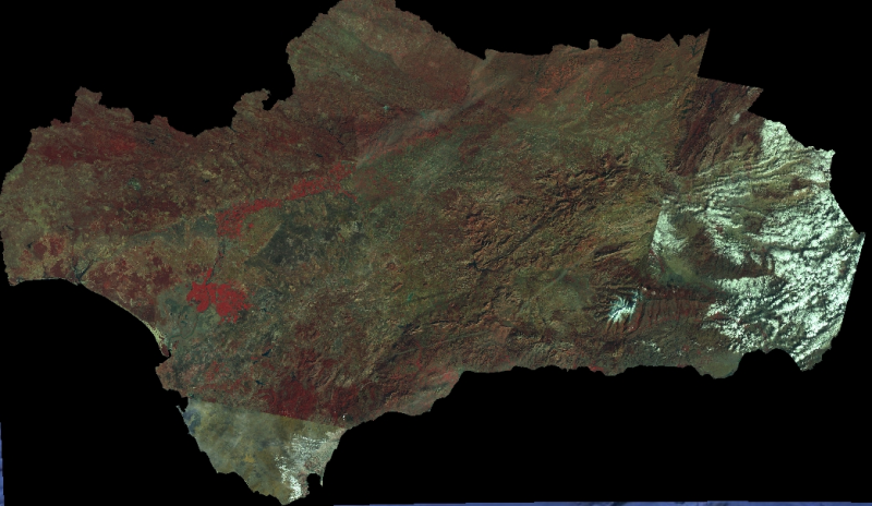 overview