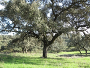 overview