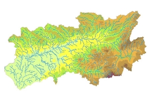 overview