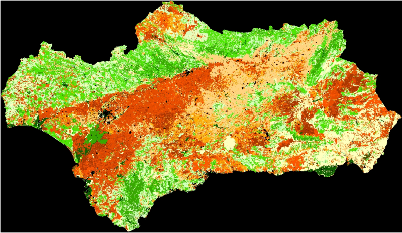 overview