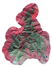 overview