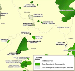 overview