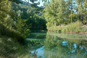 overview