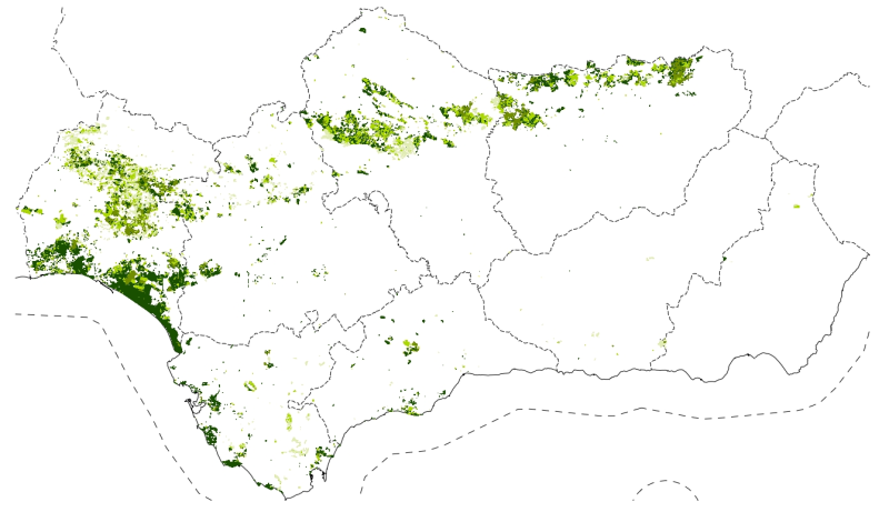 overview
