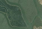 overview