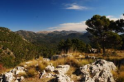 overview