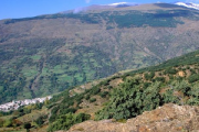 overview