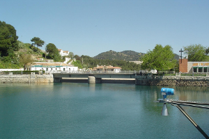 overview
