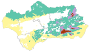 overview