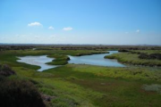 overview
