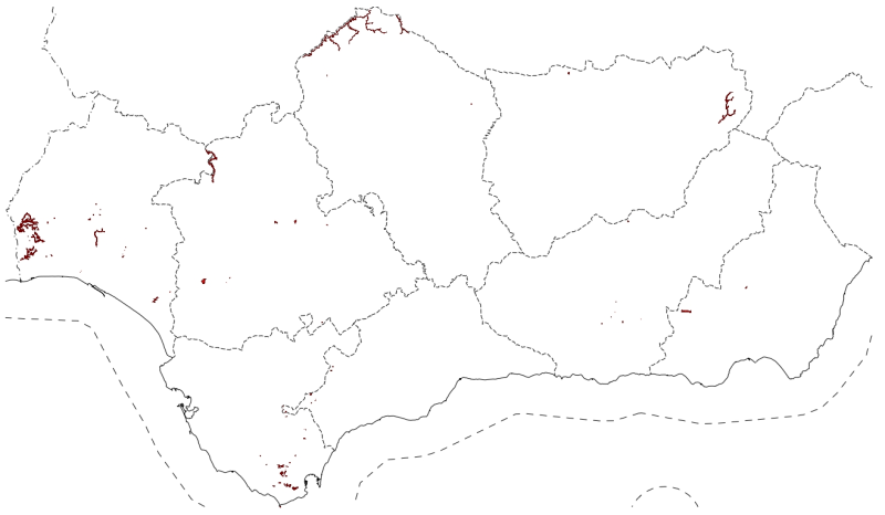 overview