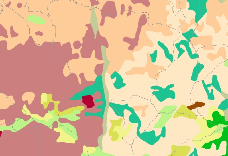 overview