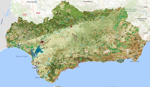overview