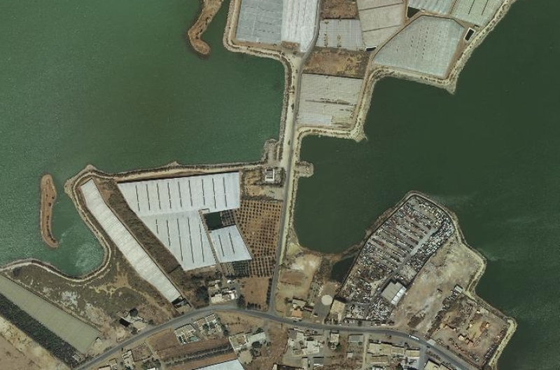 overview