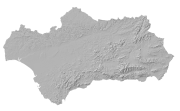 overview
