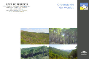 overview