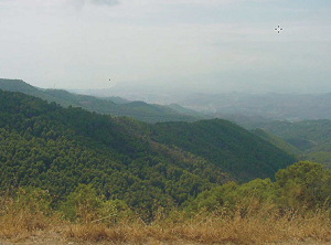 overview