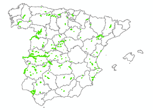 overview