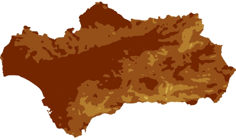 overview