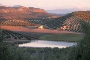 overview
