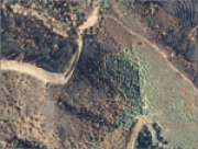 overview