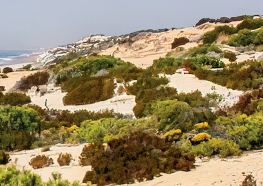 overview