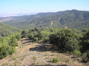 overview