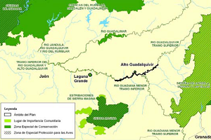 overview